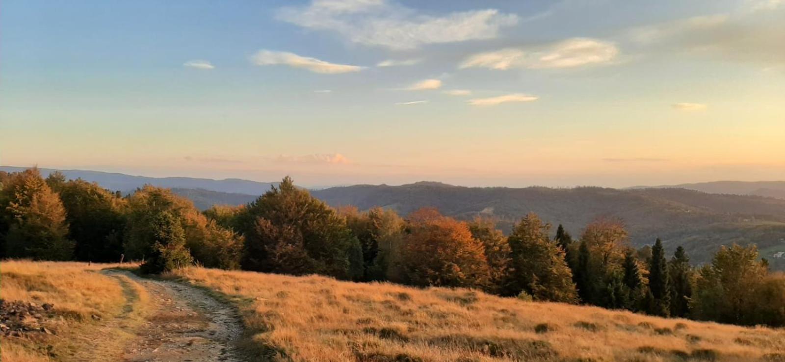 Spokoj W Gorach Brenna Exteriör bild